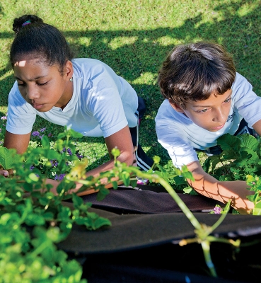 Earthworm Farm Created in Agricultural Area